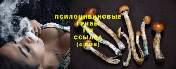 ECSTASY Балабаново