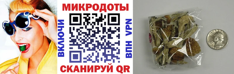 Галлюциногенные грибы Cubensis Козельск