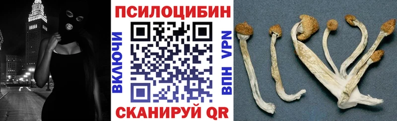 где можно купить наркотик  Козельск  MEGA ссылка  Псилоцибиновые грибы мухоморы 